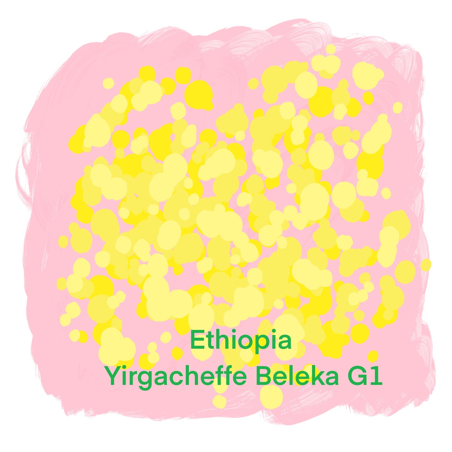 エチオピア イルガチャフィー ベレカ G1