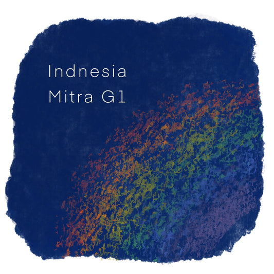 インドネシア ミトラ G1